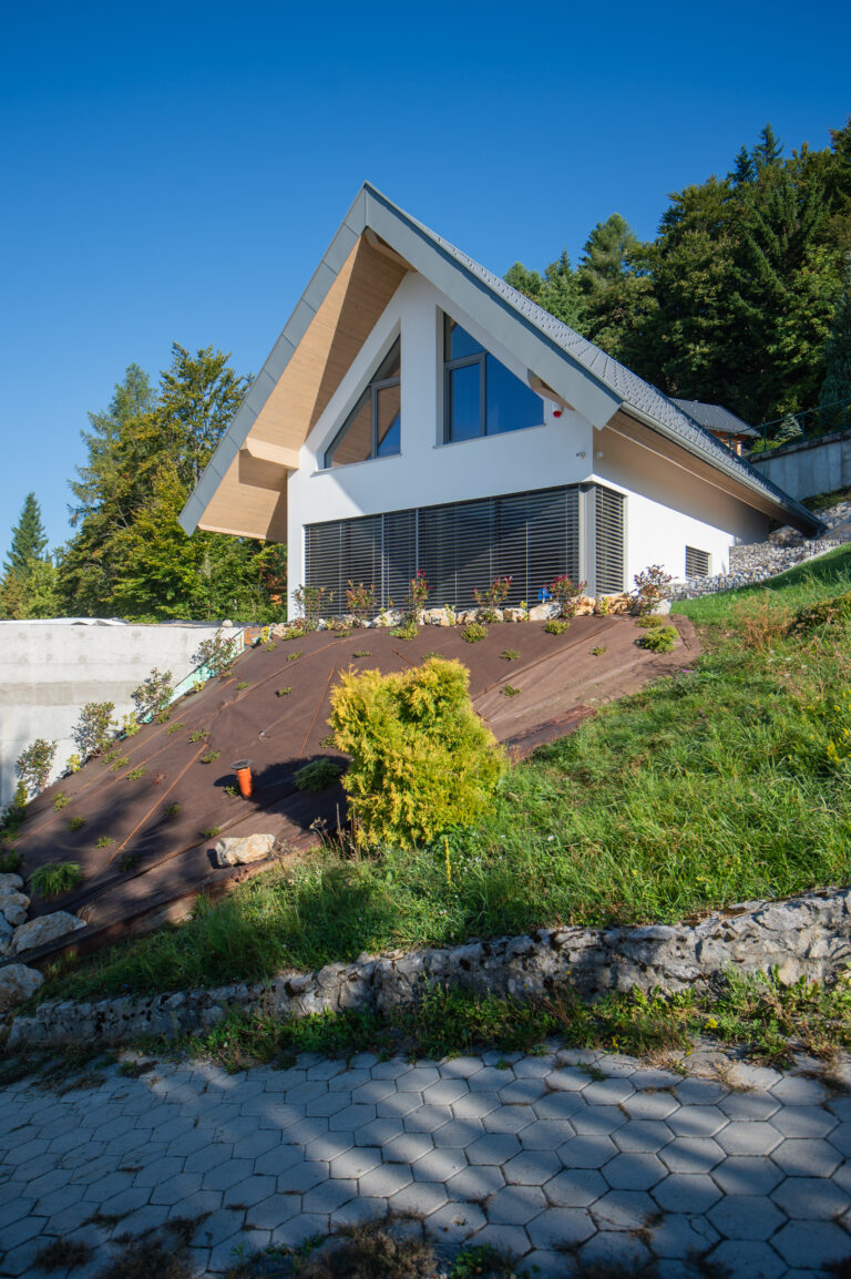 Jub Home Ambrož